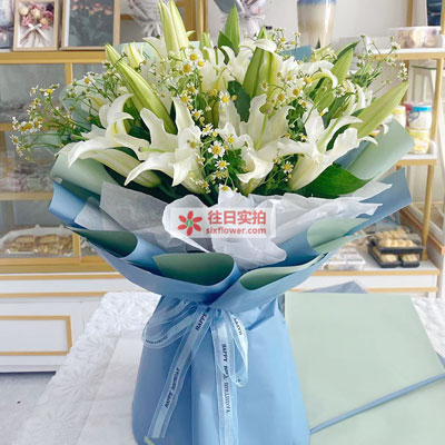 楚雄8支白色多头百合洋甘菊，互倾的思念